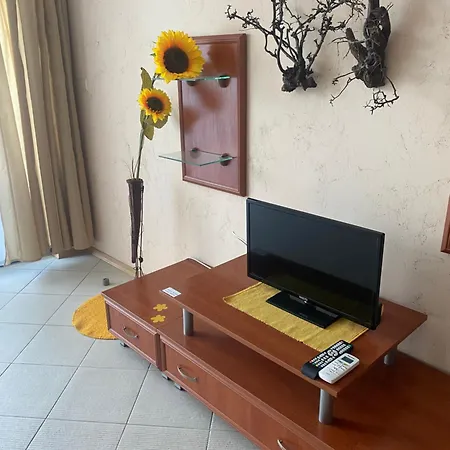 Appartement двустаен с гледка басейн 300 от плажа Sunny Beach